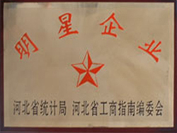 企業(yè)榮譽(yù)